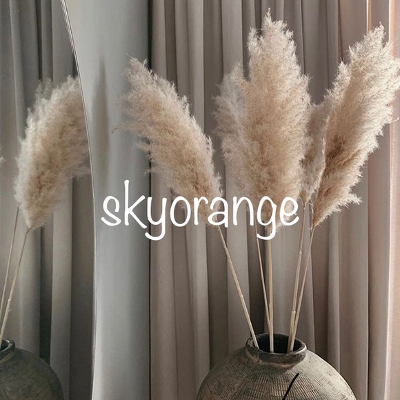 skyorange